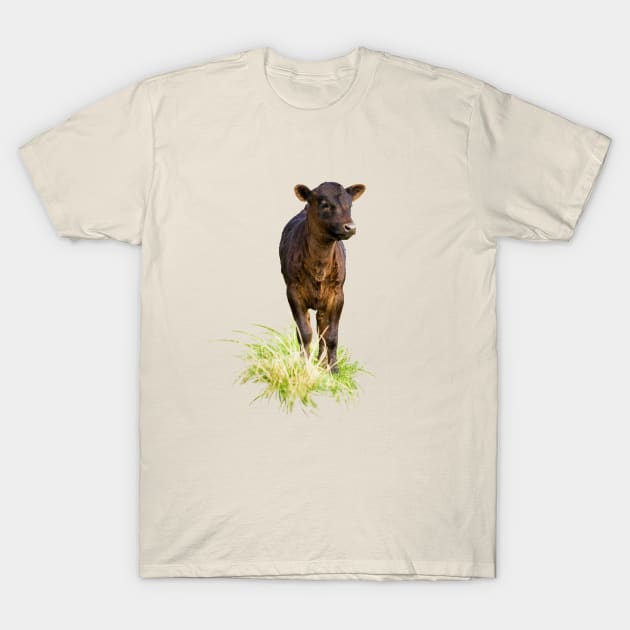 Dexter Cow T-Shirt by Jane Stanley Photography